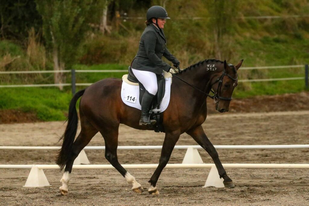 Dressage Bits